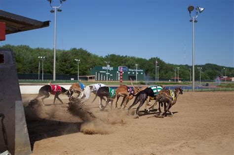 A Mistica Do Casino E Dubuque Greyhound Park Iowa