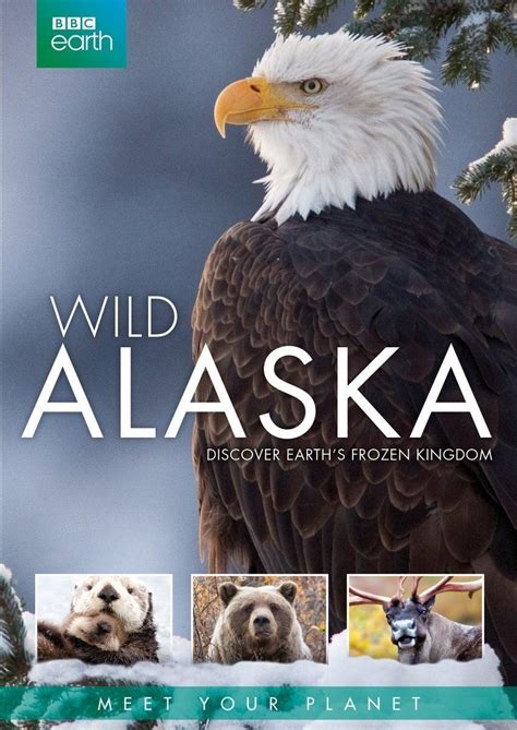 Alaska Wild Bet365