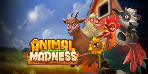 Animal Madness Bwin