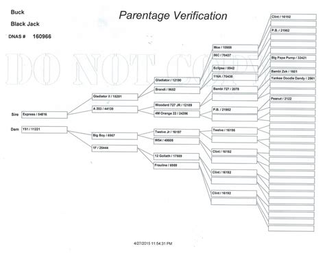 Blackjack Pedigree