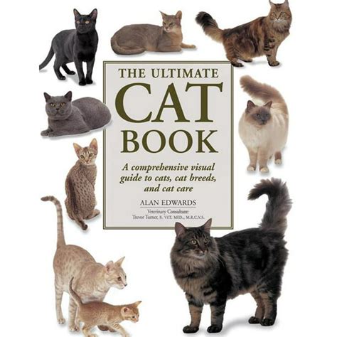 Book Of Cats Netbet