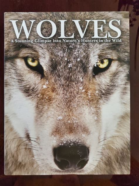 Book Of Wolves Novibet