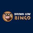 Brown Cow Bingo Casino Download