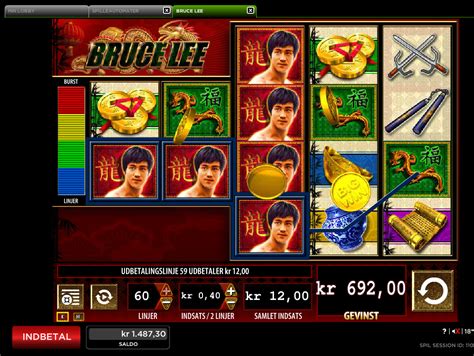 Bruce Lee Slot - Play Online