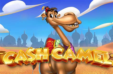Cash Camel Betfair