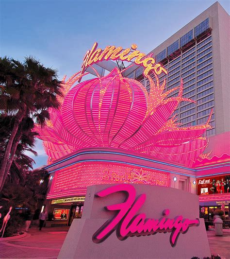 Casino Flamingo Club