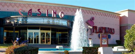 Casino Flamingo Merlo Ubicacion