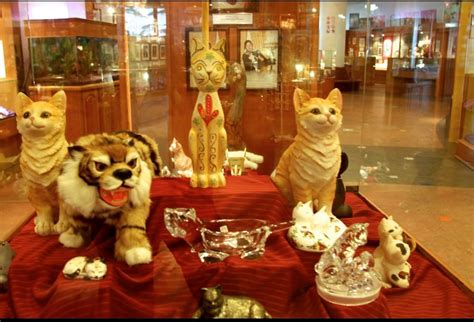 Cat Museum Betsul
