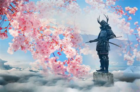 Cherry Blossom Samurai Novibet