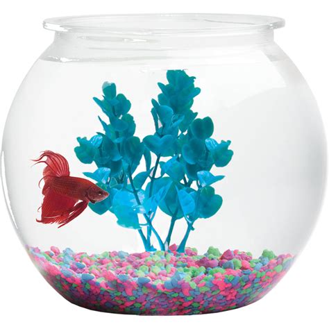 Fish Bowl Netbet