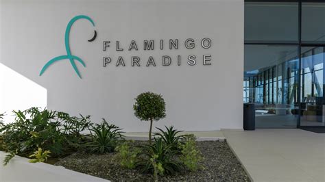 Flamingo Paradise Betano