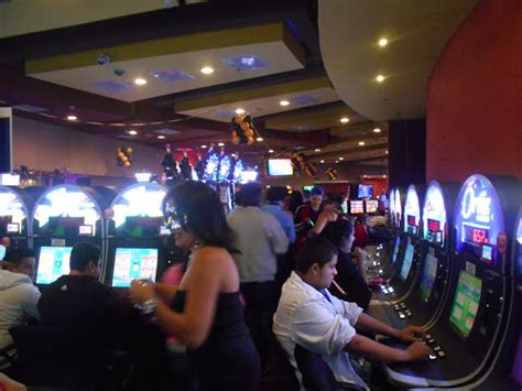 Fresh Casino Guatemala