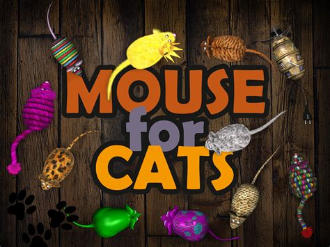 Jogar Cat And Mouse No Modo Demo