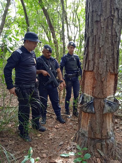 Jogos De Azar Em Areas Rurais