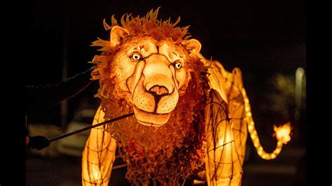 Lanterns Lions Bodog