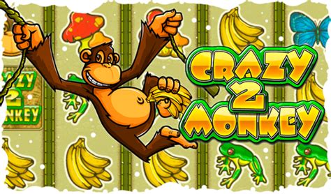 Mad Monkey 2 Brabet