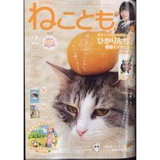 Neko Review 2024