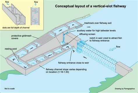 Novos Projetos Para A Vertical Slot Fishways