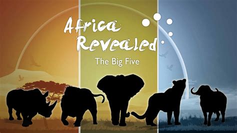 Slot Big 5 Africa